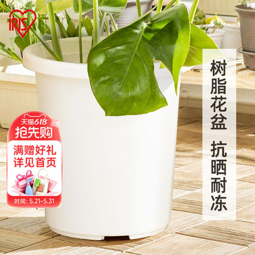 海蒂的花园旗舰店爱丽思TILT素雅简约树脂花盆月季绣球种植深型盆
