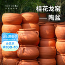 花园桂花龙窑红陶盆陶罐园艺组合花卉盆栽陶土种植花盆 海蒂