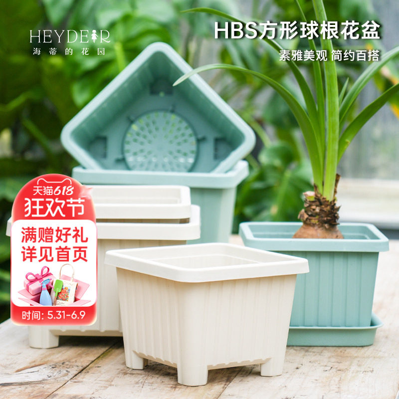 海蒂的花园旗舰店方形球根塑料花盆郁金香种球植物种植盆树脂盆