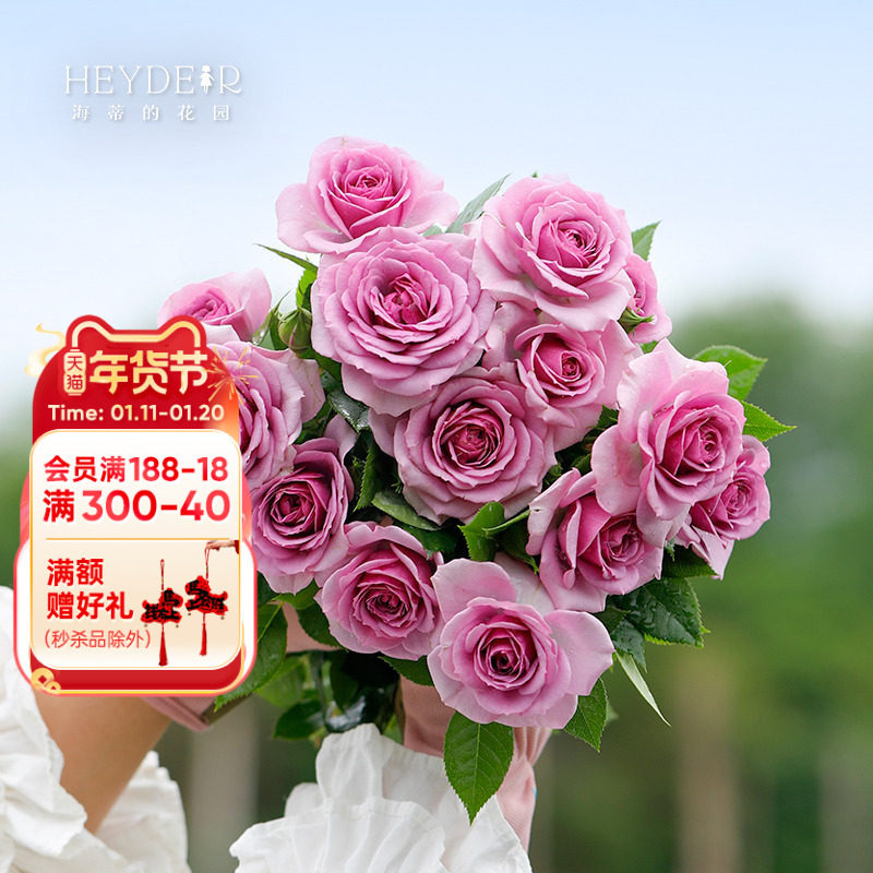 海蒂的花园薰衣草门廊多头开花勤花蓝紫色月季阳台庭院花卉盆栽苗,鲜花速递/花卉仿真/绿植园艺,月季/蔷薇/玫瑰,淘宝优惠券,粉丝福利购,淘宝优惠卷