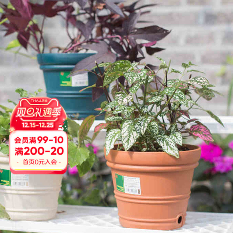 树脂花盆经久耐用适合各种植物