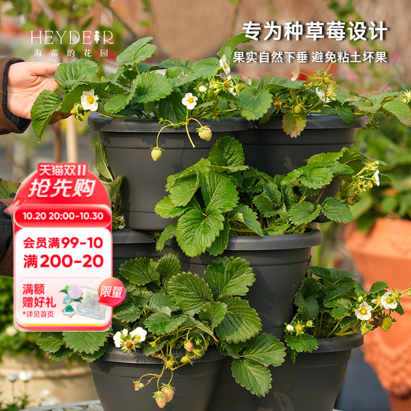 海蒂的花园环球星格尔组合草莓盆创意立体塑料花盆种花种菜种草莓