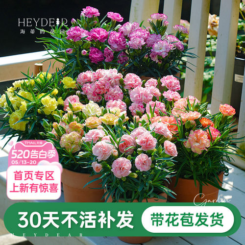 母亲节送给妈妈的礼物