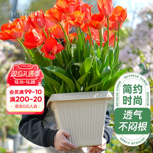 树脂花卉蔬菜种植盆浮雕方型花盆