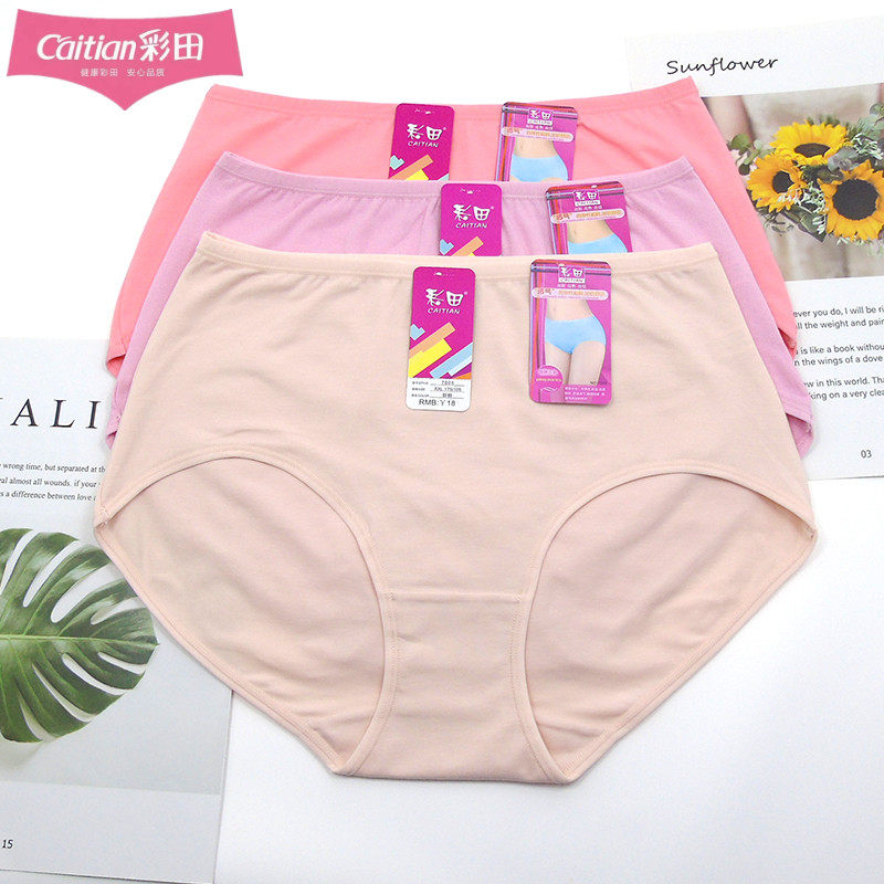 彩田纯棉三角裤简约纯色舒适透气