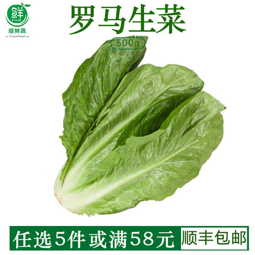 罗马生菜新鲜罗纹凯撒生菜蔬菜西餐轻食沙拉蔬菜食材配菜500g