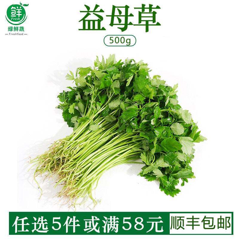 益母草新鲜蔬菜坤草野菜女性修养生理期需要潮汕煲汤炒菜当季500g