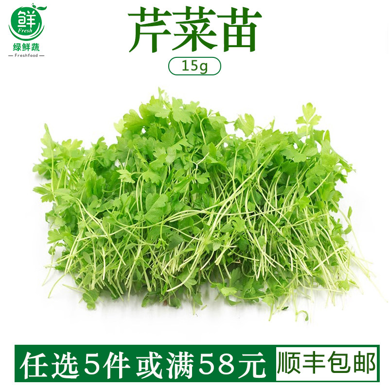 芹菜新鲜芹菜苗新鲜一盒香芹水芹西芹三叶可食用西餐酒店香料蔬菜
