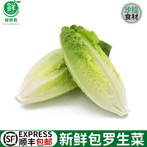 新鲜包罗生菜即食绿色西餐沙拉蔬菜包心罗纹包心罗马蔬菜沙拉生菜
