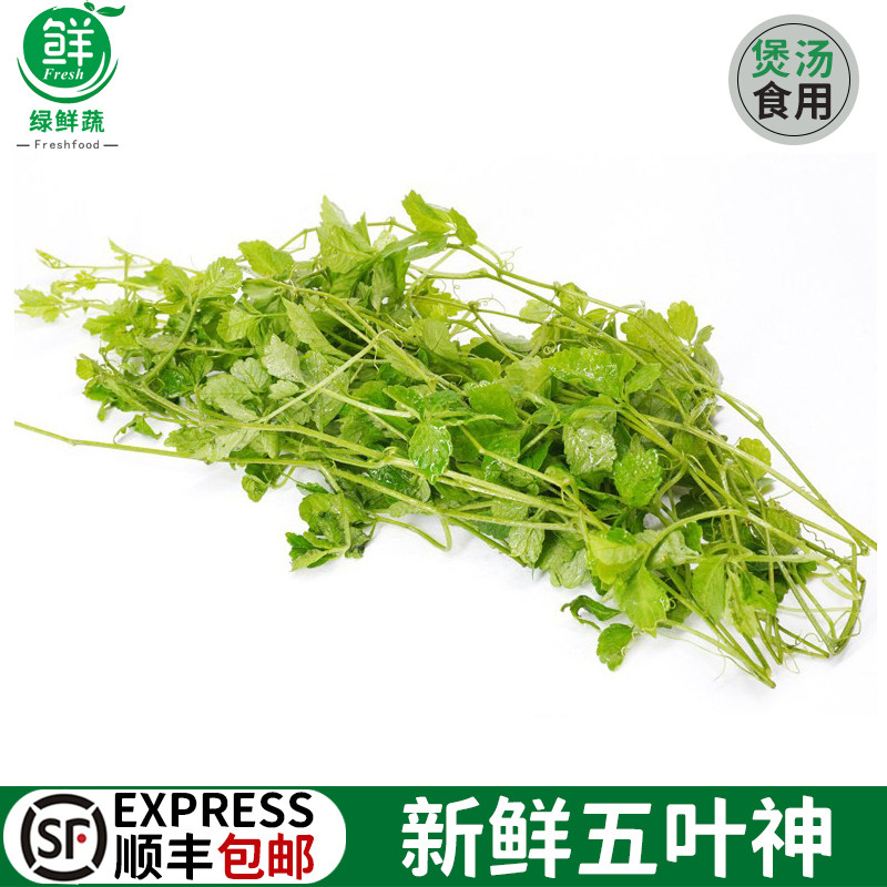 五叶神新鲜五叶参蔬菜野菜农家乐庄煲汤食用特色食材福音草七叶参