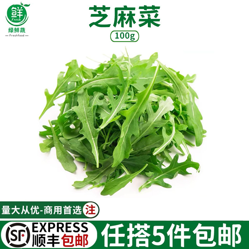 新鲜即食芝麻叶芝麻菜健身低脂火箭菜西餐蔬菜沙拉生吃菜食材250g