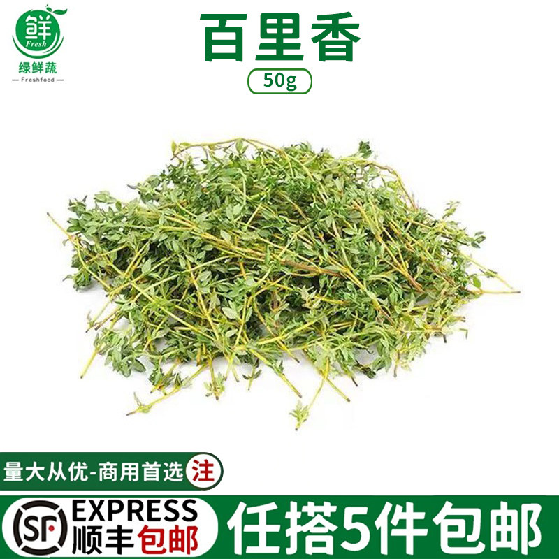 百里香新鲜食用煎牛排用可食用烧烤香料菜调料调味装饰西餐食材