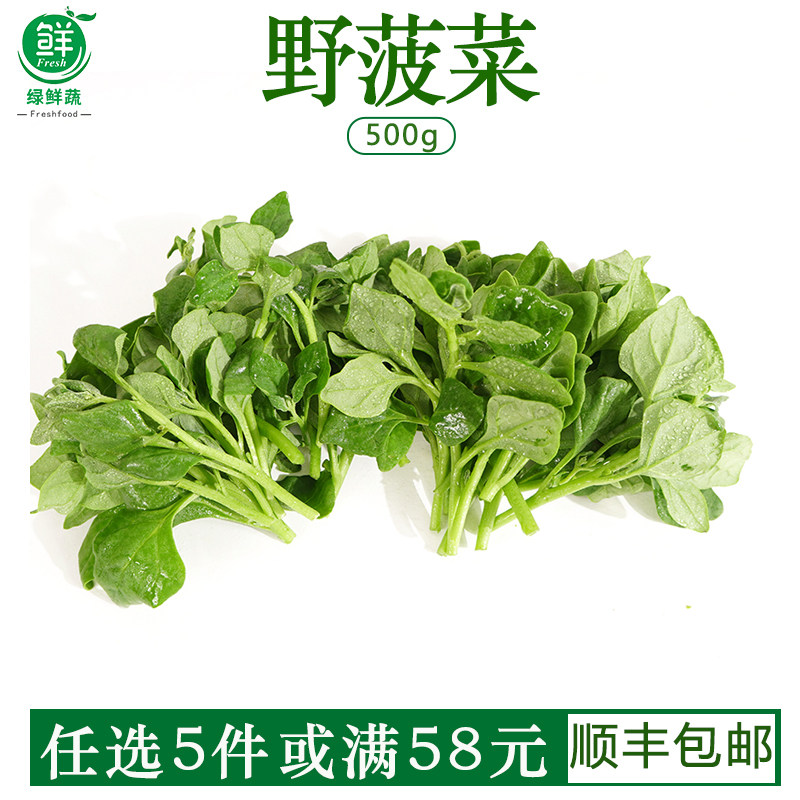 野波菜新鲜生菜沙拉精品野菜酒店私房菜食材散装火锅上汤炒顺丰