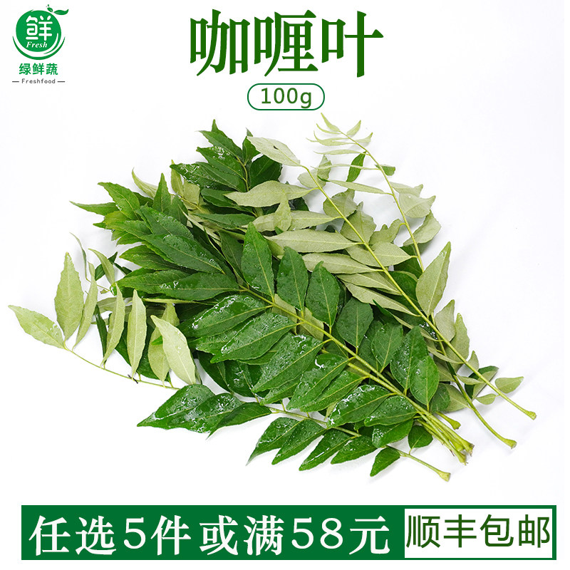 咖喱叶新鲜西餐饮香料菜调味调料蔬菜九里香咖哩叶鱼虾炒饭增香