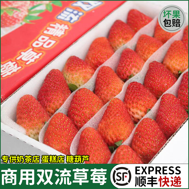双流冬四季酸草莓新鲜商用水果奶茶烘焙蛋糕饮品糖葫芦专用包邮