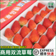 包邮 双流冬四季 酸草莓新鲜商用水果奶茶烘焙蛋糕饮品糖葫芦专用