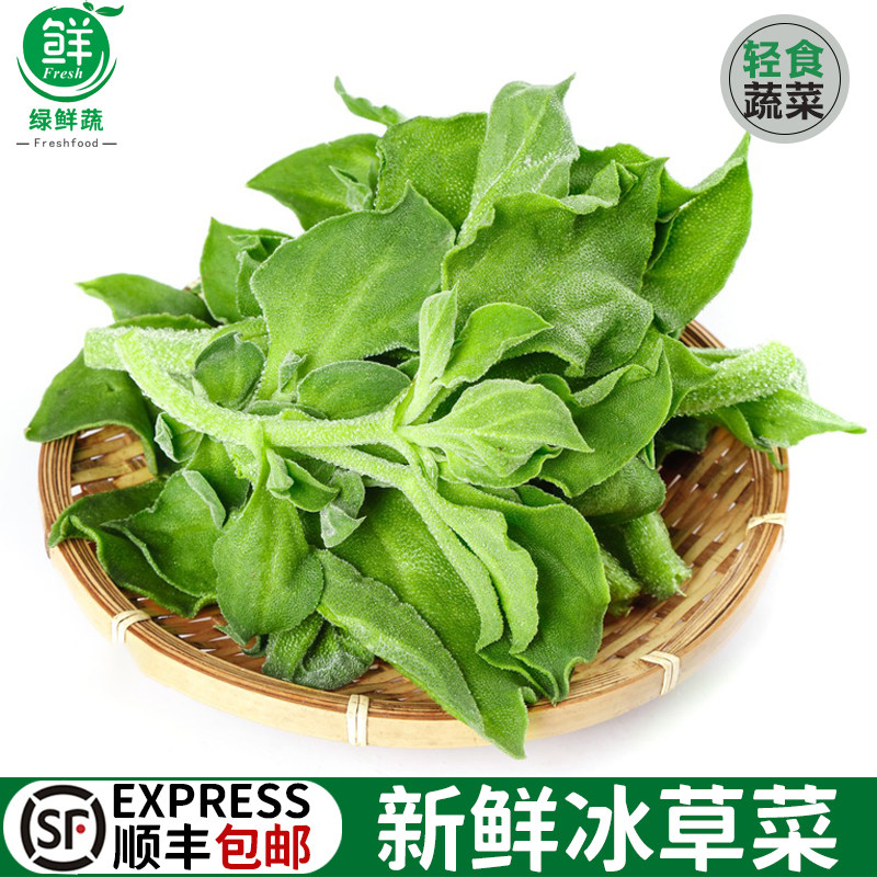 冰草新鲜冰菜食用凉拌火锅生吃蔬菜沙拉食材水晶冰菜新鲜包邮