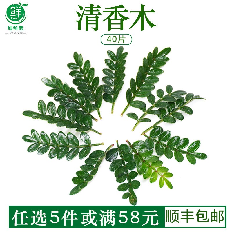 新鲜清香木叶子蛋糕装饰饮品烘培西餐日料酒楼摆盘点缀花草胡椒木