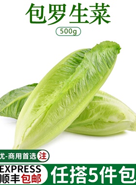 新鲜包罗生菜包心罗马罗纹凯撒包心西餐蔬菜沙拉生菜绿色500g