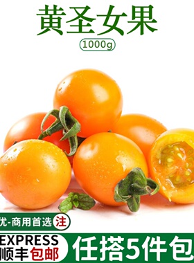 新鲜黄色圣女果小番茄樱桃西红柿新鲜沙拉食材孕妇宝宝水果2斤
