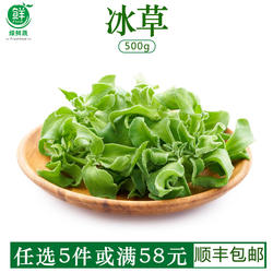 冰草新鲜蔬菜生吃非洲冰草沙拉蔬菜沙拉生菜健身冰菜冰叶500g