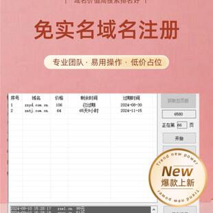 咨询域名短位代cn注册进店.免实名低价one等域名详情com.vip.shop