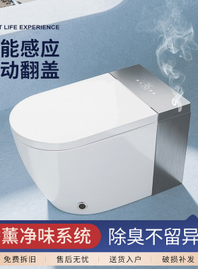 东姿小户型智能马桶全自动自动家用翻盖泡沫一体式水压坐便器T1-3