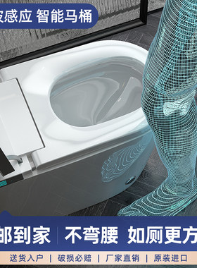皇标一体式大户型全自动智能马桶泡沫翻盖水压内置限制坐便器D1