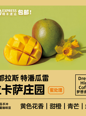 洪都拉斯特潘瓜雷拉卡萨庄园庄园浅烘焙新鲜手冲精品咖啡豆120g