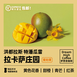 洪都拉斯特潘瓜雷拉卡萨庄园庄园浅烘焙新鲜手冲精品咖啡豆120g