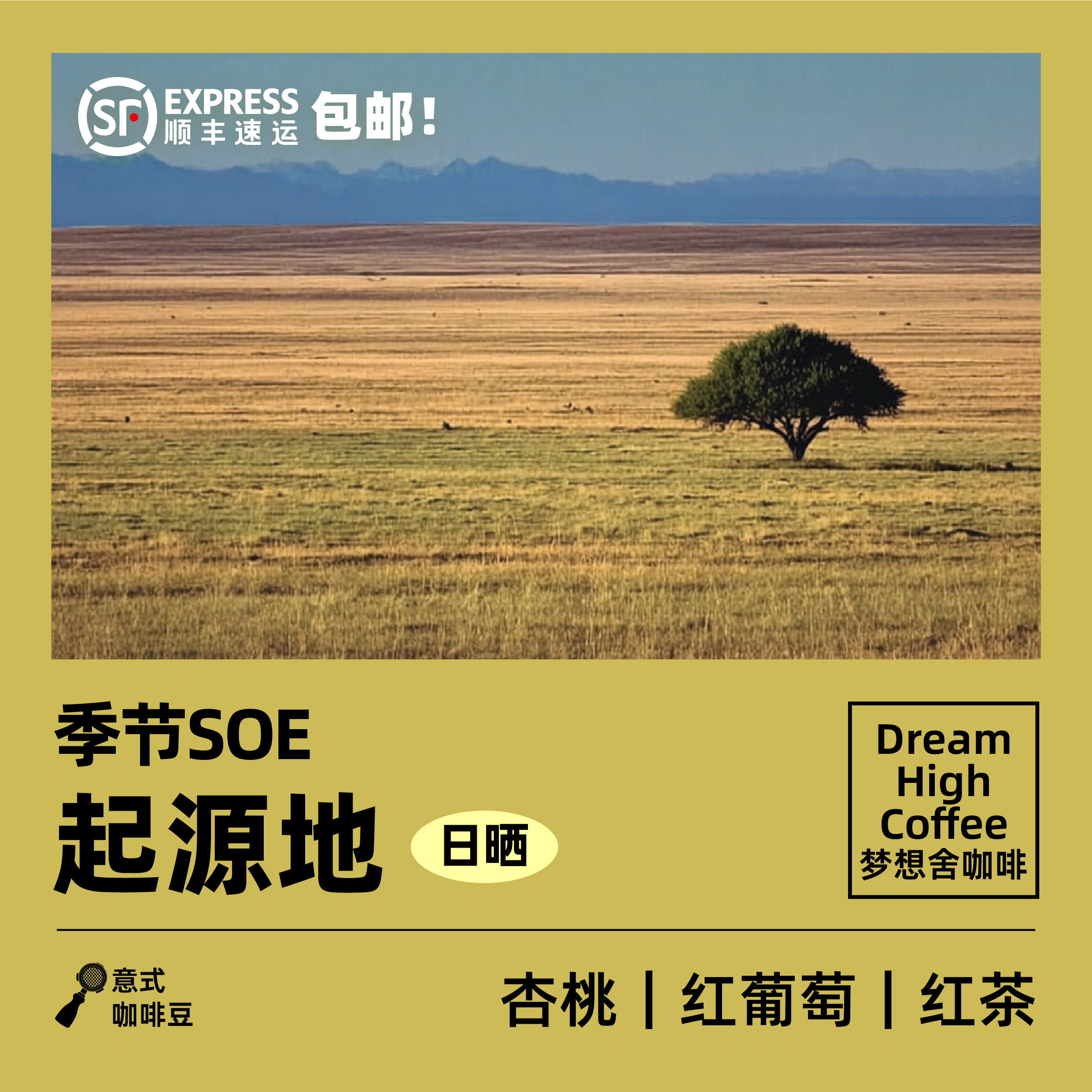 梦想舍起源地意式风味SOE中烘新鲜烘焙提神冰美式黑咖啡豆240g
