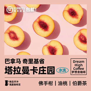 巴拿马奇里基省塔拉曼卡庄园浅烘焙新鲜手冲精品咖啡豆120g