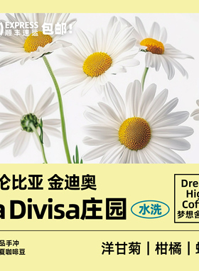 哥伦比亚金迪奥La Divisa庄园中浅烘焙新鲜手冲精品黑咖啡豆120g