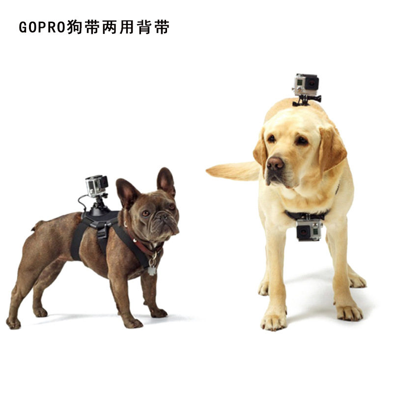 DJI大疆action5Pro运动相机宠物背带action3/4