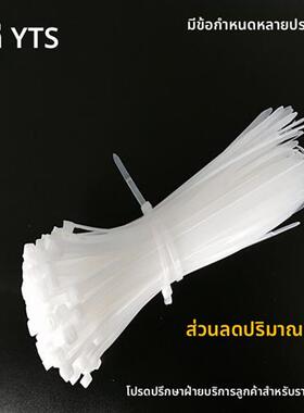 10*500mm白色塑料自锁尼龙扎带封条 固定塑料捆线带直销捆线电线