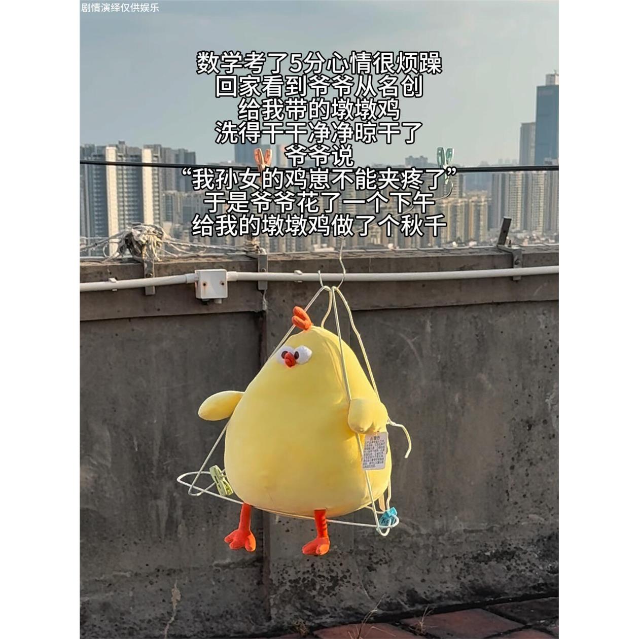 “我孙女的鸡崽可不能弄