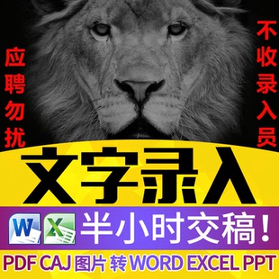 文字录入排版pdf转化文字转成word公式excel表格照片人工打字服务