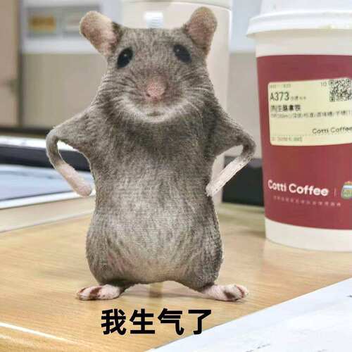仿真搞怪老鼠干玩偶挂件恶搞整蛊抽象毛绒公仔生日礼物送朋友同学