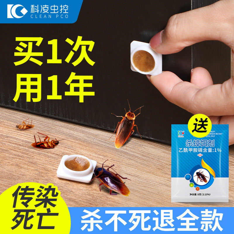 科凌虫控蟑螂药家用小强神器强力消灭蟑螂胶饵方便贴非无毒端