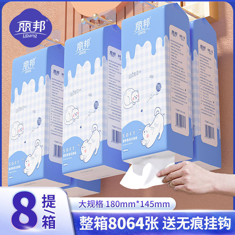 丽邦挂式抽纸厕纸纸巾家用卫生纸