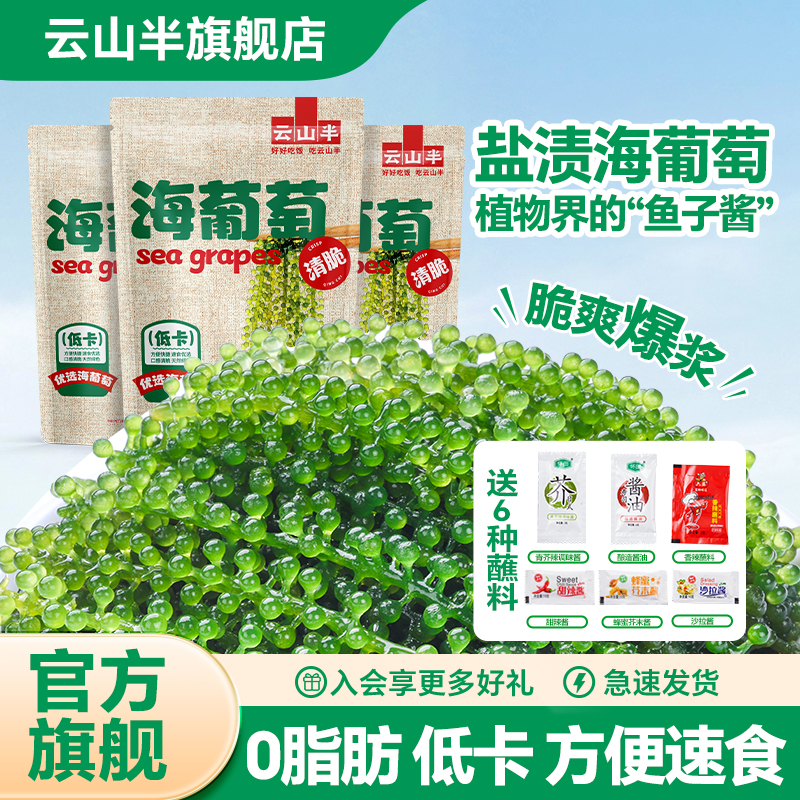 云山半盐渍海葡萄儿童即食裙带菜