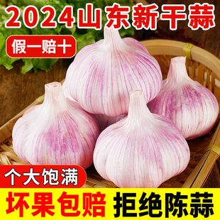 果王缘山东金乡大蒜头种籽干蒜种子5斤装紫皮2斤新鲜多瓣农家10斤