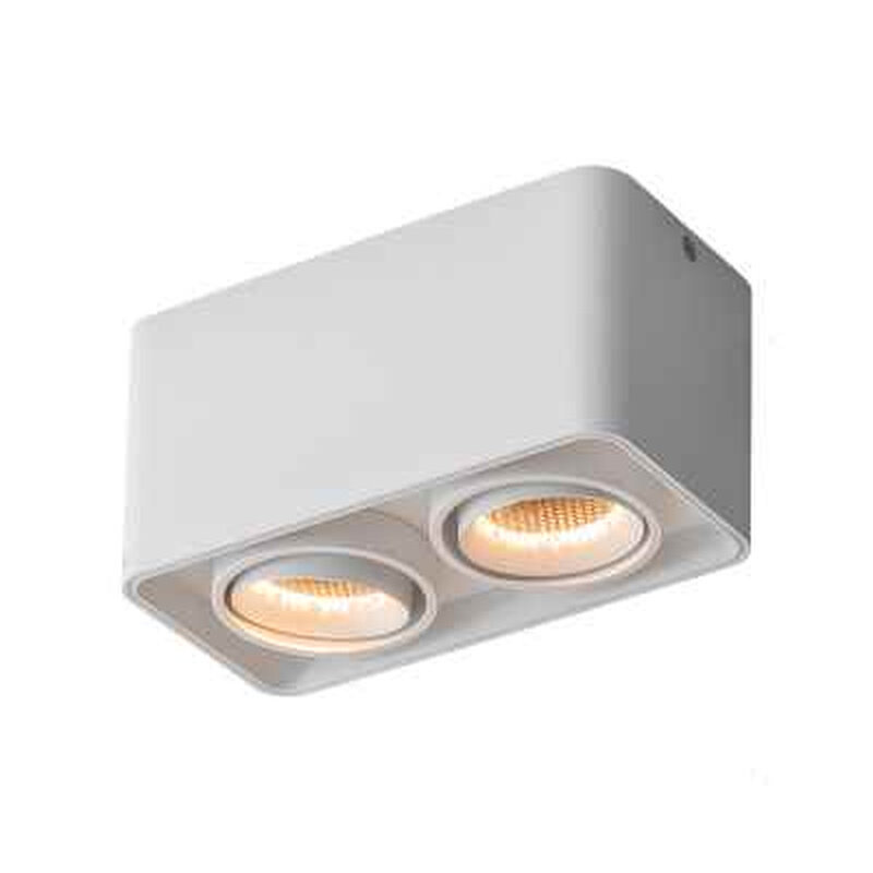 豪斯照明【蜂窝防眩_斗胆灯】客厅天花无主灯明装cob射灯led双头