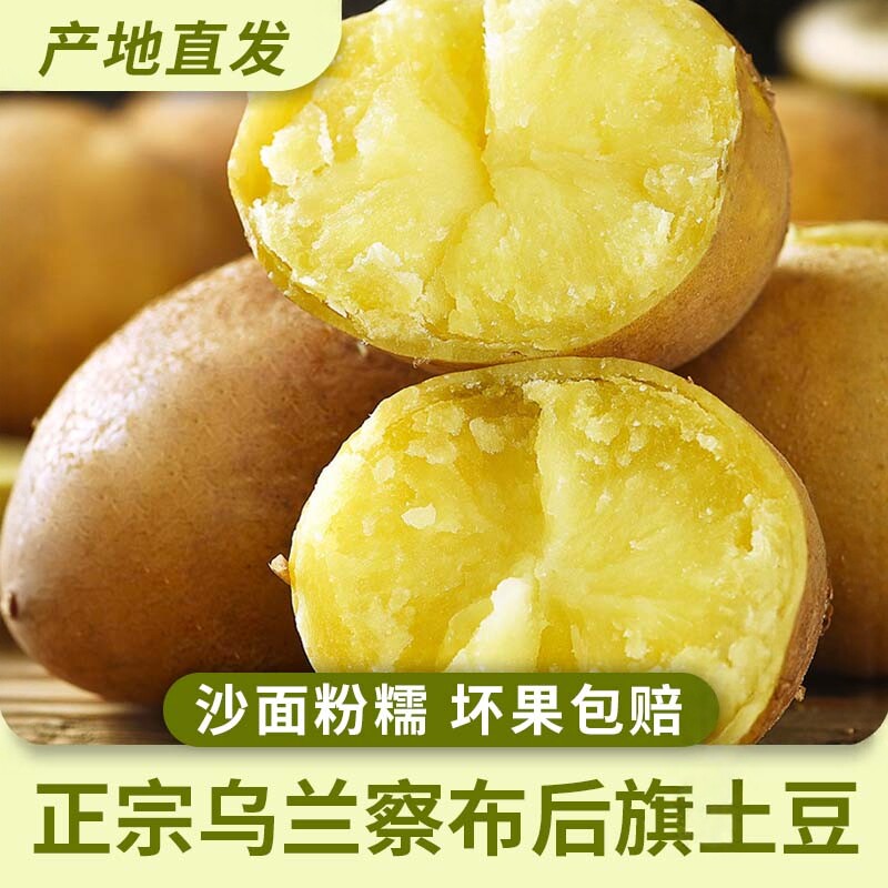 土豆内蒙古土豆乌兰察布新土豆新鲜蔬菜土豆黄心马铃薯黄皮土豆
