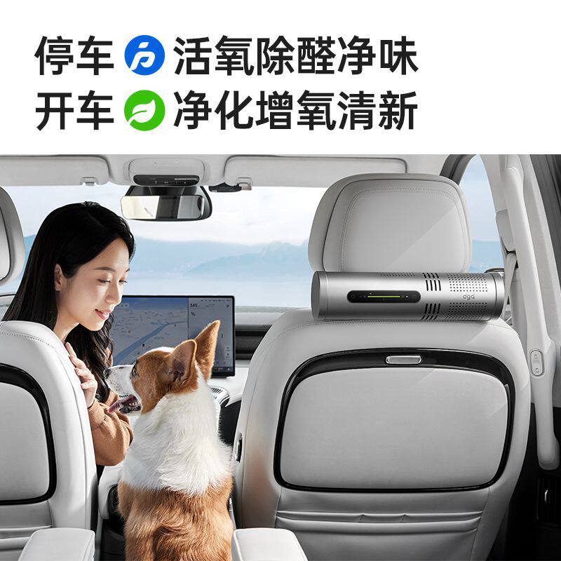 DGQ车载空气净化器臭氧负离子除甲醛智能车用自动启停除醛净味器