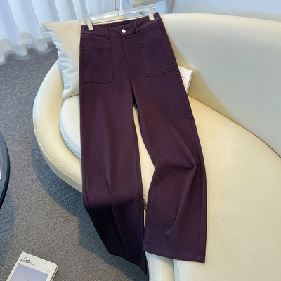 紫色天丝牛仔直筒裤女2025秋季新款高腰窄版宽松显瘦垂感阔腿长裤