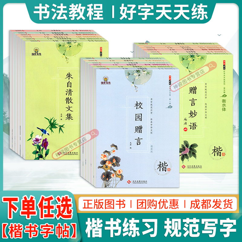 龙浩楷书字帖学生成人楷书基础练习字帖蒙纸衡水体语文写字练字帖