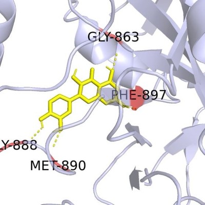 【微生物扩增子数据分析】qiime2/16S/18S/ITS/12S/otu/asv/绘图