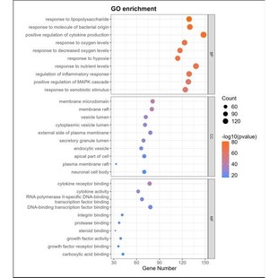 靶点富集 GO富集 DO富集 GSEA富集 转录组 kegg富集
