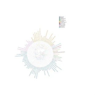 生信分析在线数据库工具文献解读教学火山图动物细胞蛋白分析